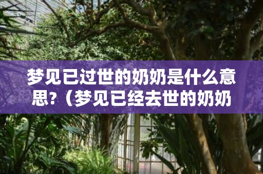 梦见已过世的奶奶是什么意思?（梦见已经去世的奶奶是什么意思梦见已经死去的奶奶是什么...）