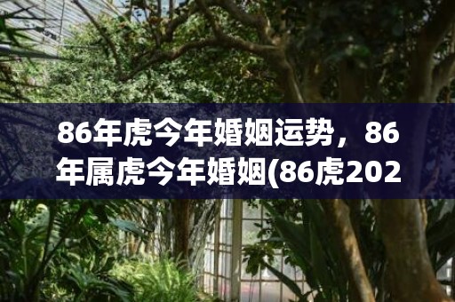 86年虎今年婚姻运势，86年属虎今年婚姻(86虎2023年婚姻会怎样)