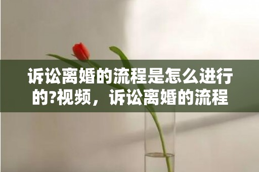 诉讼离婚的流程是怎么进行的?视频，诉讼离婚的流程是怎么进行的 时效多久
