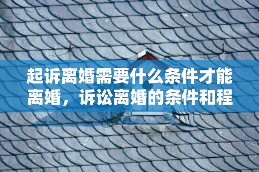 起诉离婚需要什么条件才能离婚，诉讼离婚的条件和程序是什么样的呢