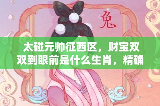  太碰元帅征西区，财宝双双到眼前是什么生肖，精确落实答案