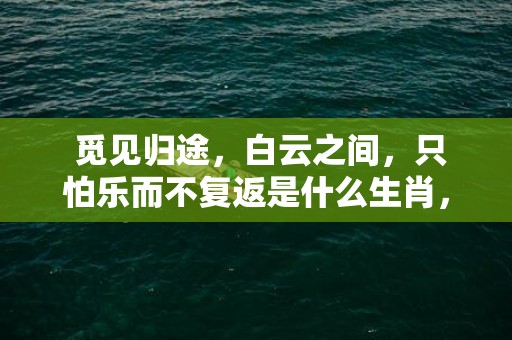  觅见归途，白云之间，只怕乐而不复返是什么生肖，精确落实答案