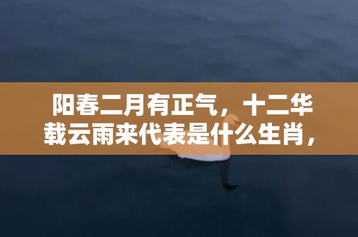  阳春二月有正气，十二华载云雨来代表是什么生肖，准确解释