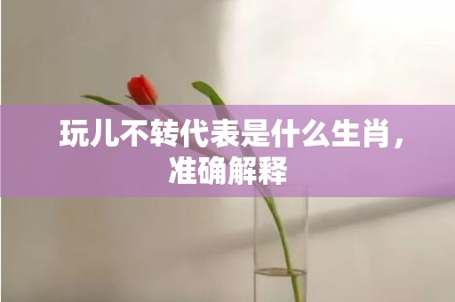  玩儿不转代表是什么生肖，准确解释