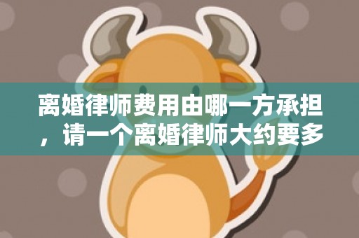 离婚律师费用由哪一方承担，请一个离婚律师大约要多少钱呢