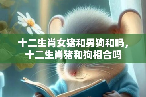 十二生肖女猪和男狗和吗，十二生肖猪和狗相合吗