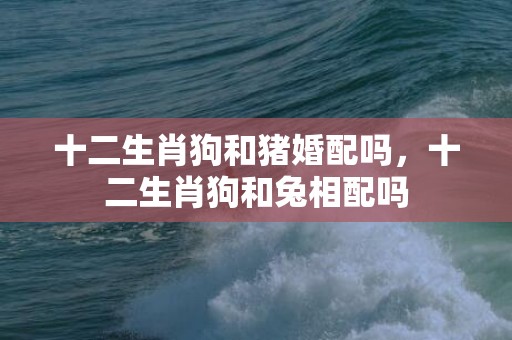 十二生肖狗和猪婚配吗，十二生肖狗和兔相配吗
