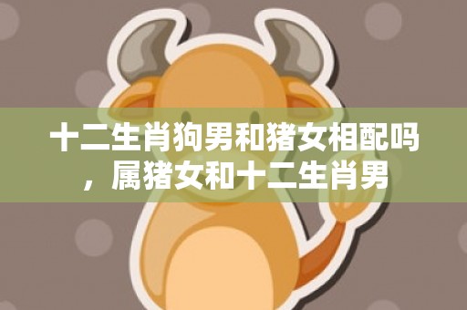 十二生肖狗男和猪女相配吗，属猪女和十二生肖男