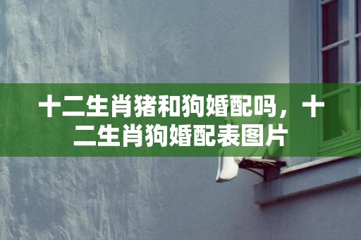 十二生肖猪和狗婚配吗，十二生肖狗婚配表图片