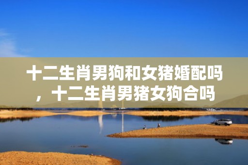 十二生肖男狗和女猪婚配吗，十二生肖男猪女狗合吗