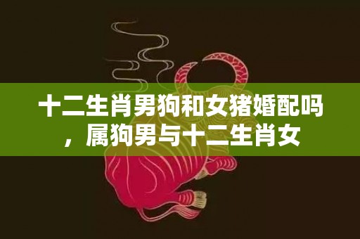 十二生肖男狗和女猪婚配吗，属狗男与十二生肖女