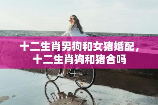 十二生肖男狗和女猪婚配，十二生肖狗和猪合吗