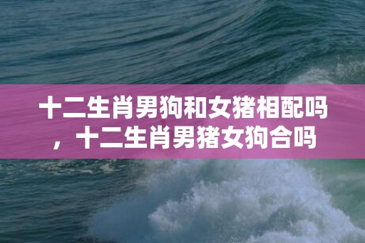 十二生肖男狗和女猪相配吗，十二生肖男猪女狗合吗
