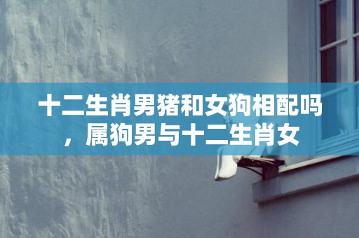 十二生肖男猪和女狗相配吗，属狗男与十二生肖女