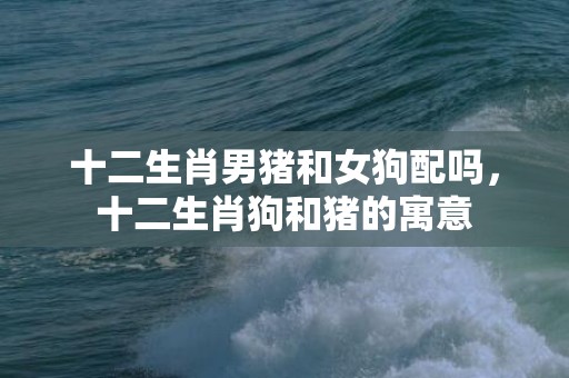 十二生肖男猪和女狗配吗，十二生肖狗和猪的寓意