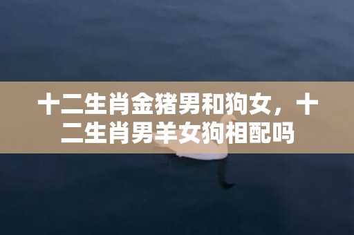 十二生肖金猪男和狗女，十二生肖男羊女狗相配吗