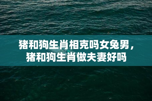 猪和狗生肖相克吗女兔男，猪和狗生肖做夫妻好吗