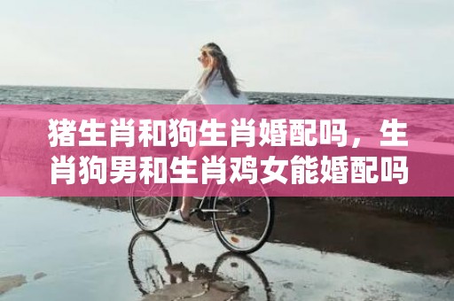 猪生肖和狗生肖婚配吗，生肖狗男和生肖鸡女能婚配吗