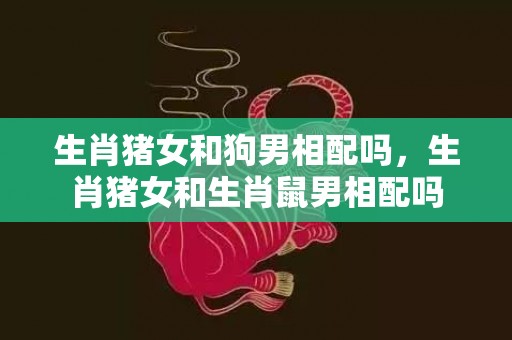 生肖猪女和狗男相配吗，生肖猪女和生肖鼠男相配吗