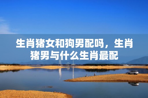 生肖猪女和狗男配吗，生肖猪男与什么生肖最配