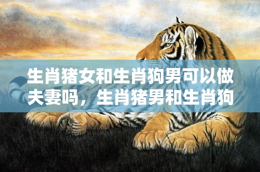 生肖猪女和生肖狗男可以做夫妻吗，生肖猪男和生肖狗女相配吗