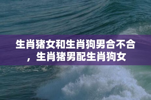 生肖猪女和生肖狗男合不合，生肖猪男配生肖狗女