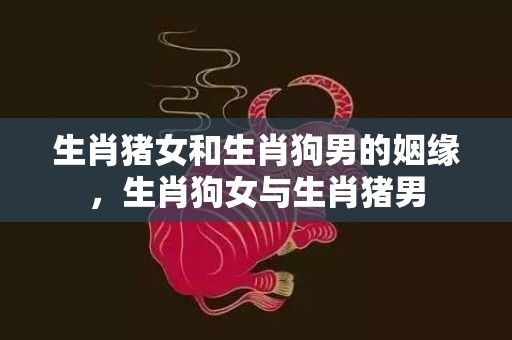 生肖猪女和生肖狗男的姻缘，生肖狗女与生肖猪男