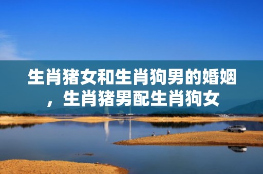 生肖猪女和生肖狗男的婚姻，生肖猪男配生肖狗女
