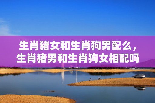生肖猪女和生肖狗男配么，生肖猪男和生肖狗女相配吗