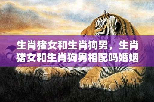生肖猪女和生肖狗男，生肖猪女和生肖狗男相配吗婚姻如何