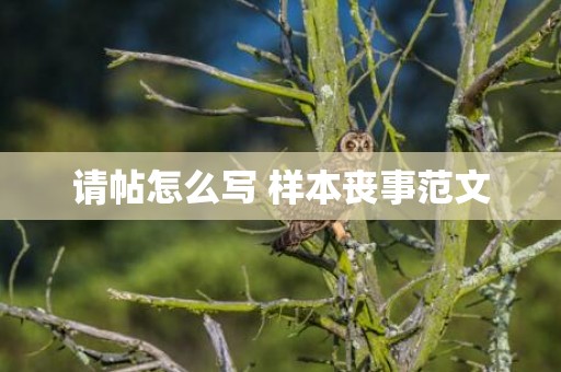 请帖怎么写 样本丧事范文