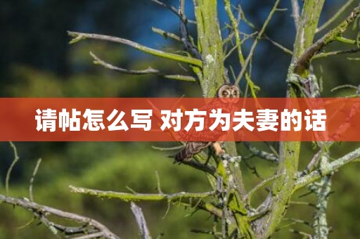 请帖怎么写 对方为夫妻的话
