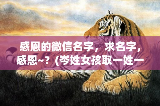 感恩的微信名字，求名字，感恩~？(岑姓女孩取一姓一名？)