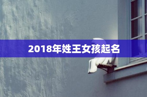2018年姓王女孩起名