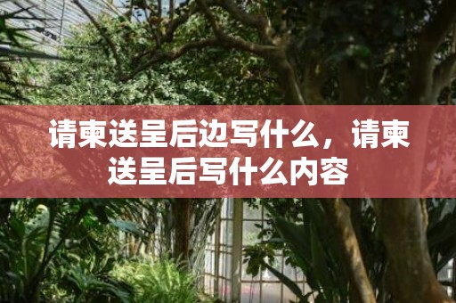 请柬送呈后边写什么，请柬送呈后写什么内容