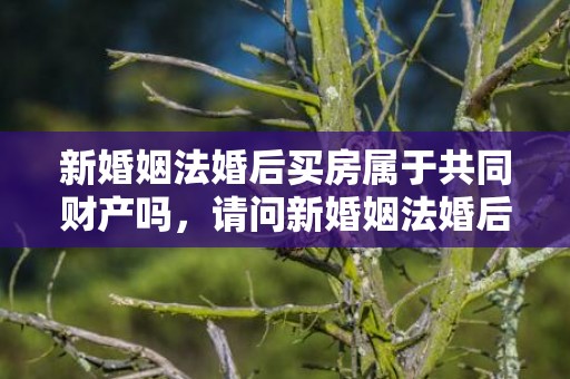 新婚姻法婚后买房属于共同财产吗，请问新婚姻法婚后房子加名字有用吗