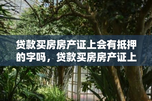 贷款买房房产证上会有抵押的字吗，贷款买房房产证上写一个人和两个人的区别