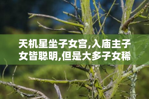 天机星坐子女宫,入庙主子女皆聪明,但是大多子女稀少的简单介绍