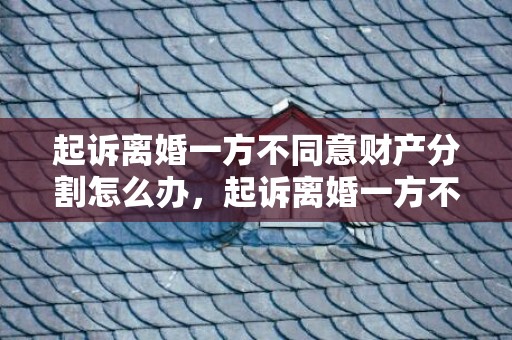 起诉离婚一方不同意财产分割怎么办，起诉离婚一方不同意多久可以再起诉一次呢