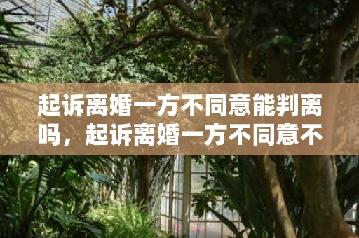 起诉离婚一方不同意能判离吗，起诉离婚一方不同意不出庭能离婚吗怎么办