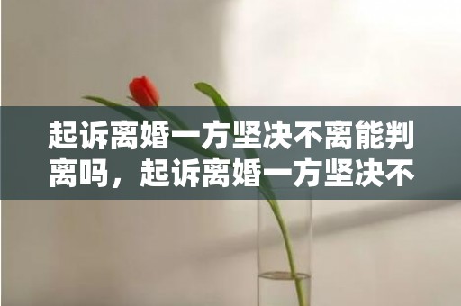 起诉离婚一方坚决不离能判离吗，起诉离婚一方坚决不同意离婚怎么办呢法院判决