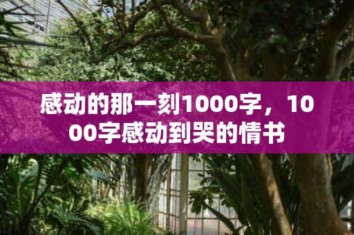 感动的那一刻1000字，1000字感动到哭的情书