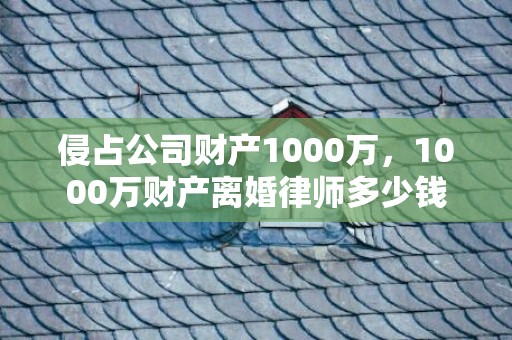 侵占公司财产1000万，1000万财产离婚律师多少钱