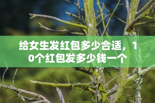 给女生发红包多少合适，10个红包发多少钱一个