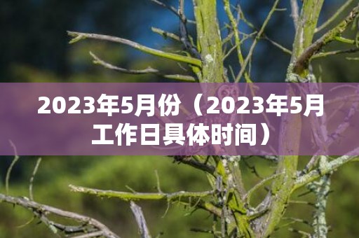 2023年5月份（2023年5月工作日具体时间）