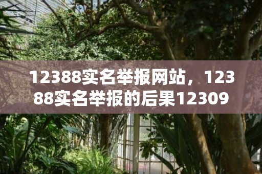 12388实名举报网站，12388实名举报的后果12309