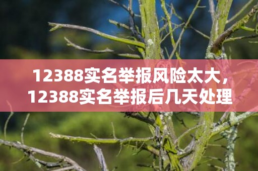 12388实名举报风险太大，12388实名举报后几天处理