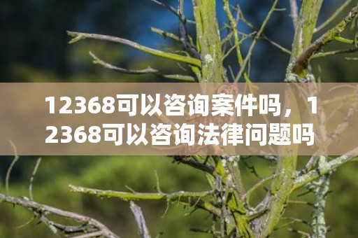12368可以咨询案件吗，12368可以咨询法律问题吗