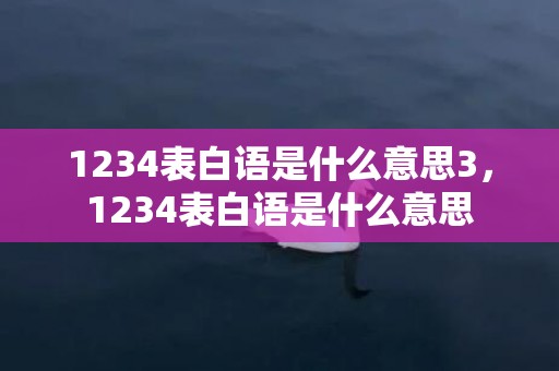1234表白语是什么意思3，1234表白语是什么意思