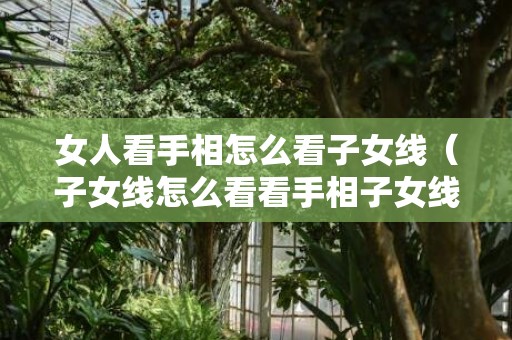 女人看手相怎么看子女线（子女线怎么看看手相子女线怎么看）